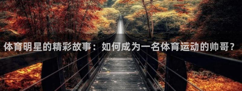 海南米兰体育官网下载：体育明星的精彩故事：如何成为一