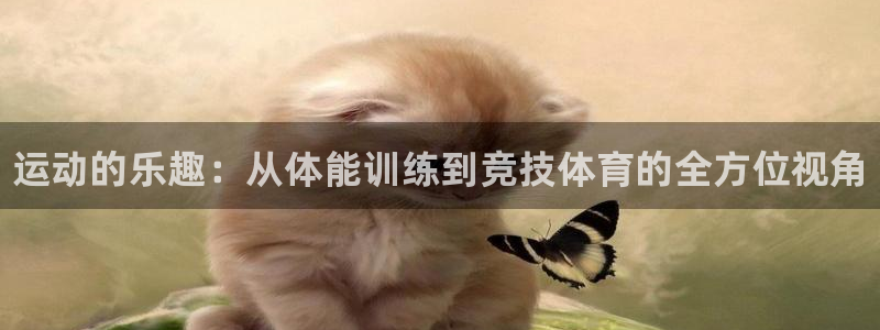米兰体育官网下载平台是正规平台吗知乎：运动的乐趣：从