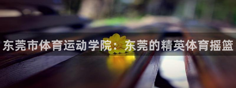 米兰体育官网下载招商电话地址：东莞市体育运动学院：东