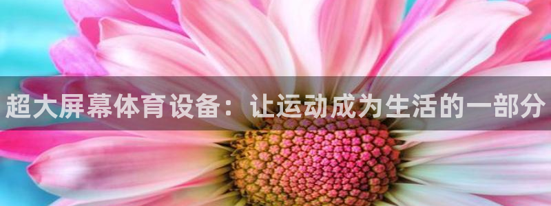 米兰体育官网下载平台是正规平台吗：超大屏幕体育设备：让运动成