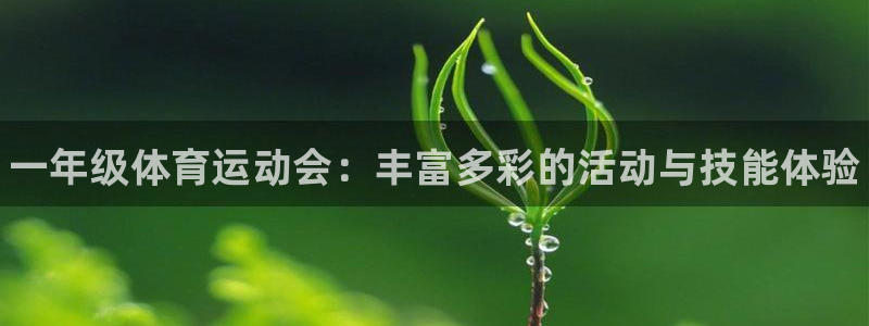 米兰体育官网下载平台是正规平台吗安全吗：一年级体育运
