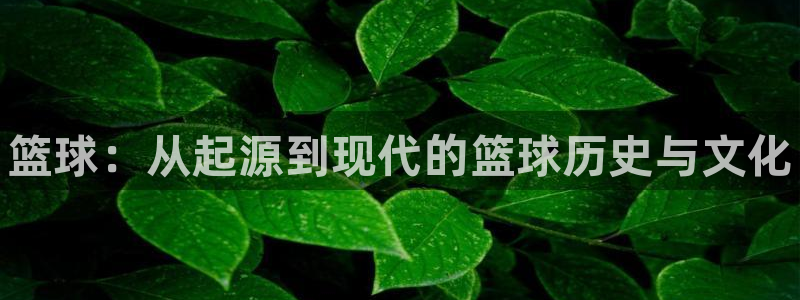 米兰体育官网下载招商电话是多少号码：篮球：从起源到现代的篮球