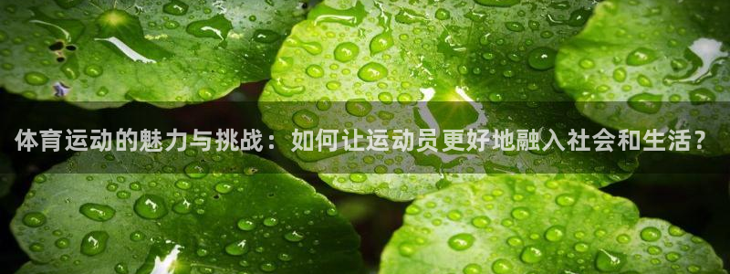 米兰体育官网下载招商电话号码是多少号：体育运动的魅力