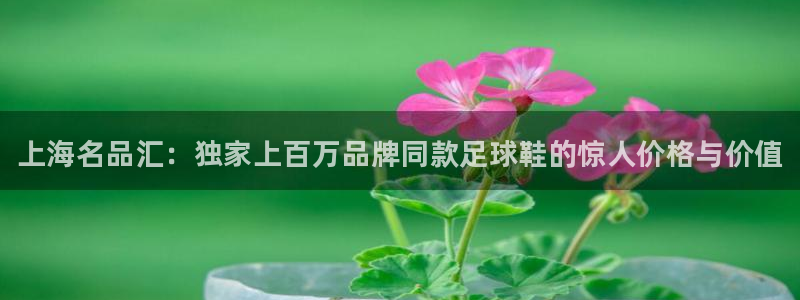 海南米兰体育官网下载发展怎么样：上海名品汇：独家上百