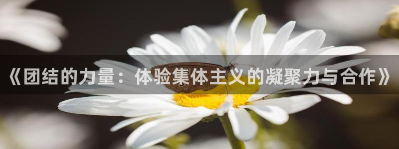 米兰体育官网下载平台是正规平台吗安全吗：《团结的力量