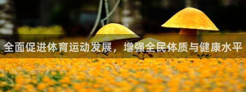 米兰体育官网下载招商电话号码是多少号：全面促进体育运