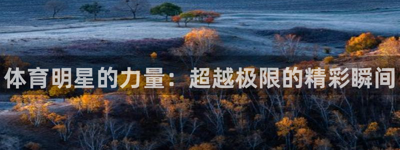 米兰体育官网下载平台假的吗是真的吗：体育明星的力量：
