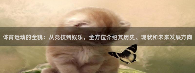 米兰体育官方正版app集团E.ON：体育运动的全貌：