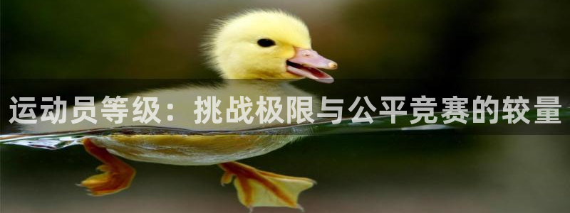 米兰体育官方正版app开户：运动员等级：挑战极限与公