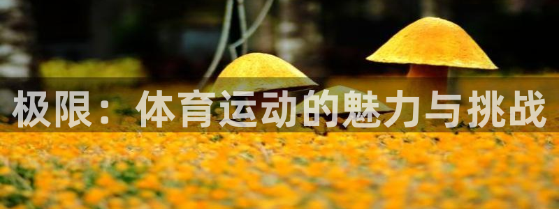 米兰体育官网下载招商电话地址：极限：体育运动的魅力与