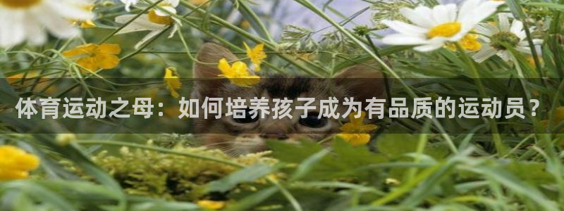 米兰体育官方正版app代理：体育运动之母：如何培养孩