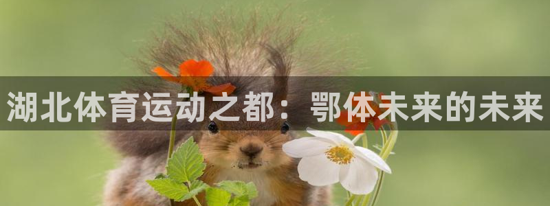米兰体育官网下载软件：湖北体育运动之都：鄂体未来的未
