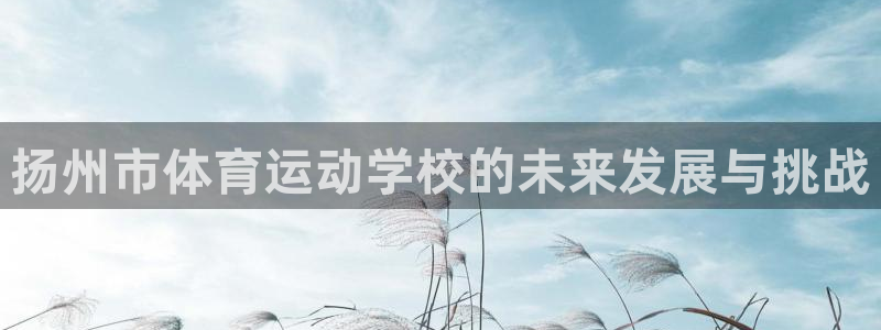米兰体育官网下载是干嘛的公司