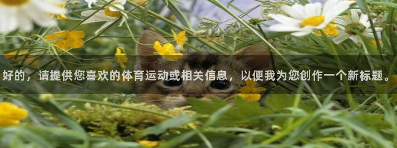 米兰体育官方正版app官网：好的，请提供您喜欢的体育运动或相