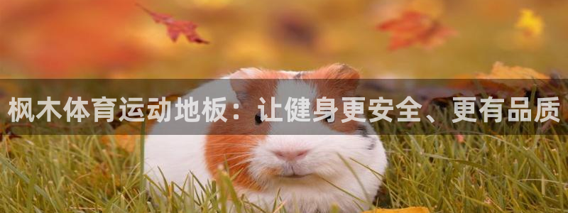 米兰体育官网下载平台注册要钱吗：枫木体育运动地板：让健身更安